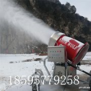 造雪设备配套系统供应厂商 小型造雪机价格