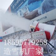 国产造雪机多少钱一台 一小时出雪量高制雪机