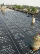 北京朝阳区专业楼顶防水维修