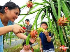 深圳周边农家乐一日游之九龙生态园