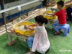 深圳最近很火的亲子游首选之地深圳九龙生态园特色展示