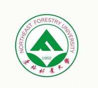 东北林业大学自考艺术设计专本学历听说好考靠谱吗