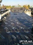成八区专业楼顶防水屋顶防水窗台阳台漏水维修