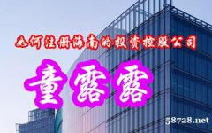 如何注册海南的投资控股公司