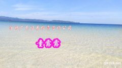 注册广东证券投资咨询公司费用多少