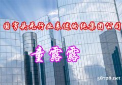国字头没有行业表述的纯集团公司