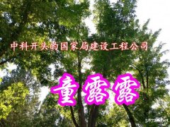 中科开头的国家局建设工程公司多少钱能买