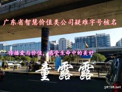 收购广东省智慧价值类公司疑难字号核名费用
