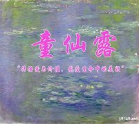 在海南自贸港注册资产管理公司费用多少 在海南自贸港注册资产管理公司费用多少