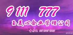 转让2008年6月注册资本3万的投资咨询公司