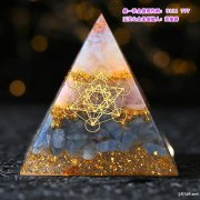 转让 朝阳区纯内资（中国）公司