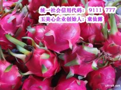 转让 中能开头的能源公司和五星建筑公司