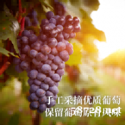 温碧霞代言IRENENA红酒品牌贺兰山酒庄干红葡萄酒